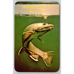 Postcard Michigan's State Fish Brook Trout c1970s Unposted Great Lake State